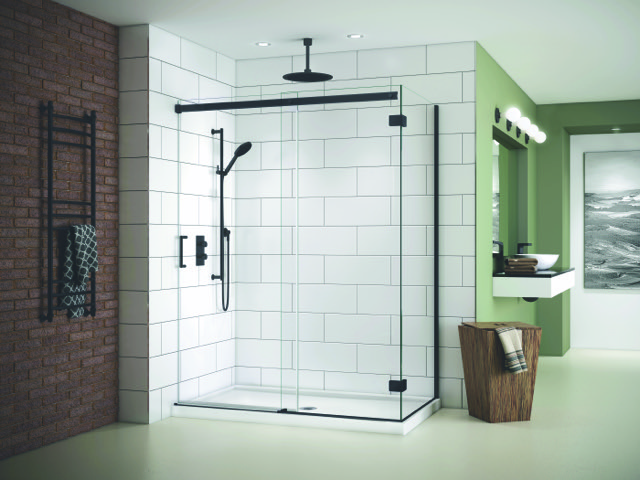 Bathroom Shower Doors | Washington DC Bathroom Remodeling Company